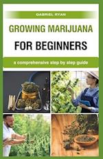 growing marijuana for beginners