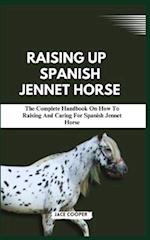 Raising a Spanish Jennet Horse