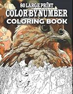 80 Large Print Color By Number Coloring Book