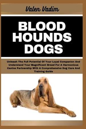 Bloodhounds Dogs