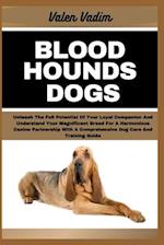 Bloodhounds Dogs