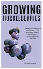 Growing Huckleberries