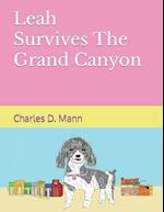 Leah Survives The Grand Canyon