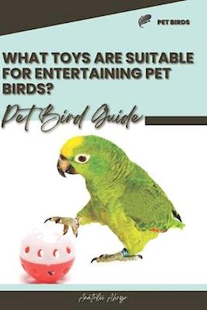 What toys are suitable for entertaining pet birds?