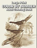large print color by number adult coloring book