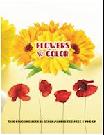Flowers To Color
