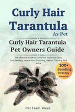 Curly Hair Tarantula as Pet