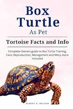 Box Turtle as Pets