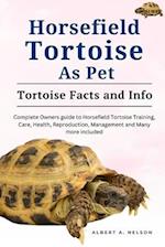 Horsefield Tortoises as Pet