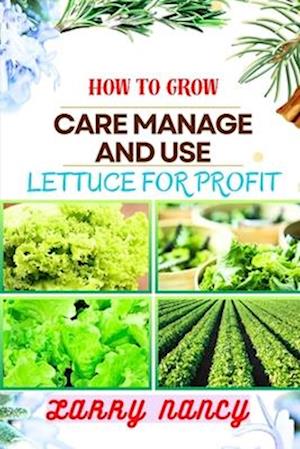 How to Grow Care Manage and Use Lettuce for Profit