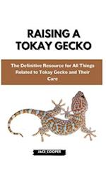 Raising a Tokay Gecko