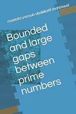 Bounded and large gaps between prime numbers