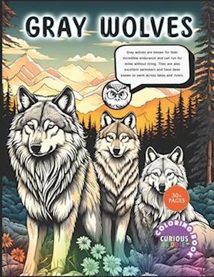 The Amazing Gray Wolf, kids 4-16, wolves coloring book