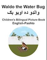 English-Pashto Waldo the Water Bug Children's Bilingual Picture Book