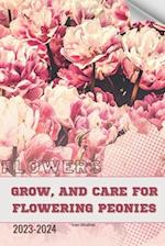 Grow, and Care for Flowering Peonies