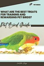 What are the best treats for training and rewarding pet birds?