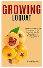 Growing Loquat