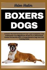 Boxers Dogs