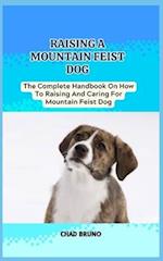 Mountain Feist Dog