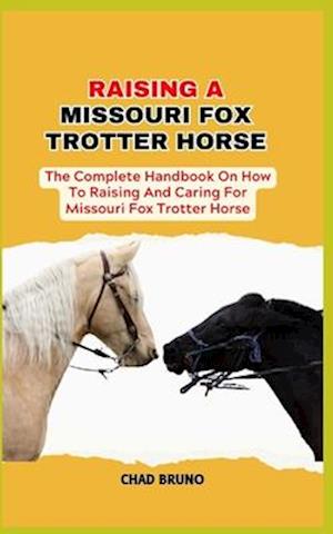 Missouri Fox Trotter Horse