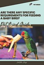 Are there any specific requirements for feeding a baby bird?