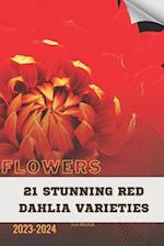 21 Stunning Red Dahlia Varieties