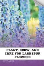 Plant, Grow, and Care For Larkspur Flowers