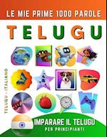 Imparare il Telugu per Principianti, Le Mie Prime 1000 Parole