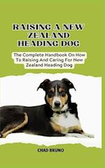 New Zealand Heading Dog