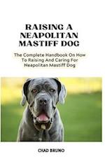 Neapolitan Mastiff Dog