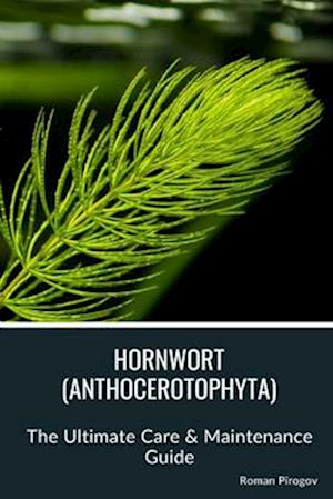 Hornwort (Anthocerotophyta)