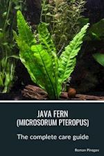 Java fern (microsorum pteropus)