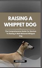 Raising a Whippet Dog