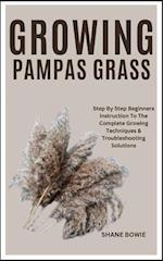 Growing Pampas Grass