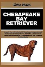 Chesapeake Bay Retriever