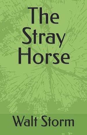 The Stray Horse