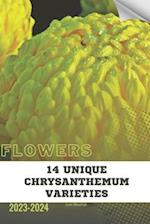 14 Unique Chrysanthemum Varieties