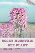 Rocky Mountain Bee Plant