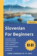 Slovenian For Beginners