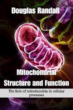 Mitochondrial Structure and Function