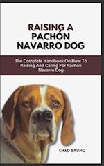 Raising a Pachón Navarro Dog