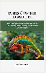 Raising a Panther Chameleon