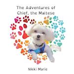 The Adventures of Chief the Maltese