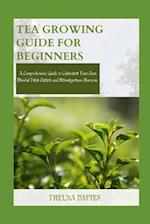 Tea Growing Guide for Beginners