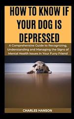 How to Know If Your Dog Is Depressed