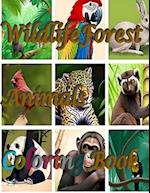 Wildlife Forest Animals Coloring Book