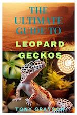 The Ultimate Guide to Leopard Geckos