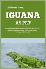 Iguana as Pet