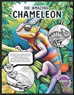 The Amazing Chameleon, Kids K-12 Wildlife Chameleon Coloring Book