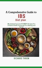 A Comprehensive Guide to IBS Diet Plan